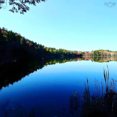 95 Natural Forest Lake Road — photo 4