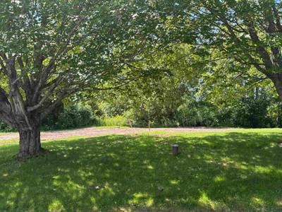 23 Robertson Lane — photo 4