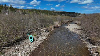 49740 Cabot Trail — photo 4