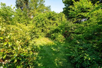 6301 Lawrence Street — photo 4