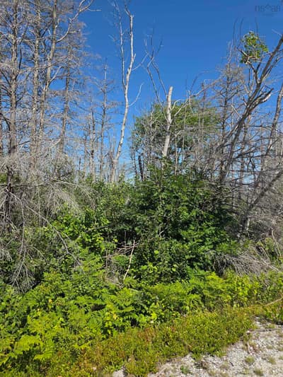Shore Road — photo 2