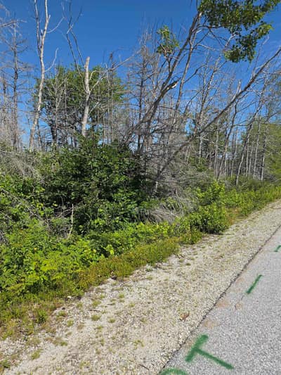 Shore Road — photo 3