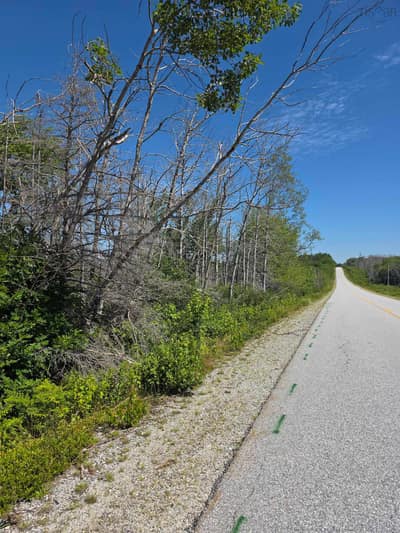 Shore Road — photo 4