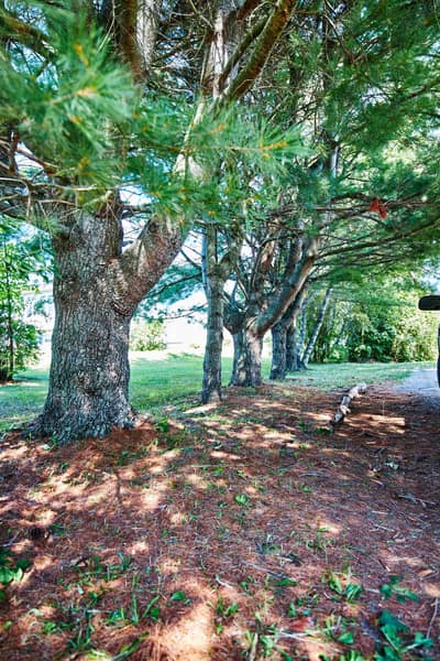 1072 J Jordan Road — photo 3