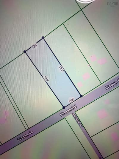 Lingan Road — photo 5