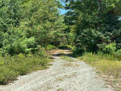 1475 Upper Clyde Road — photo 3