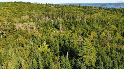 St. Margaret's Bay Road #Lots — photo 3