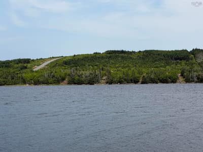 94 Nettie's Way #5A — photo 6