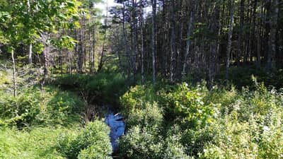 Condons Lake Drive — photo 2