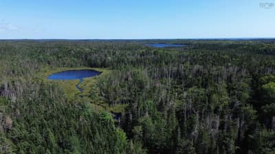 Condons Lake Drive — photo 3