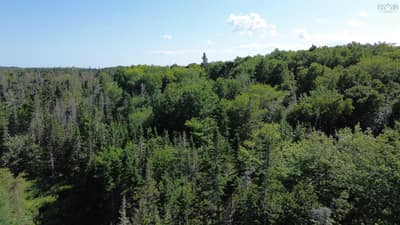 Condons Lake Drive — photo 4