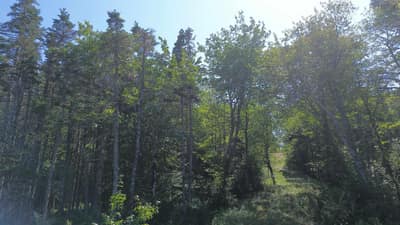 Condons Lake Drive — photo 5