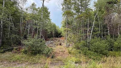 Miner Meadow Road #Lot S-2 — photo 3