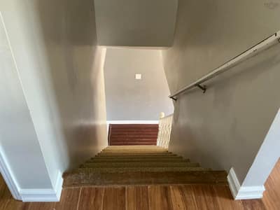 17 Oakwood — photo 4