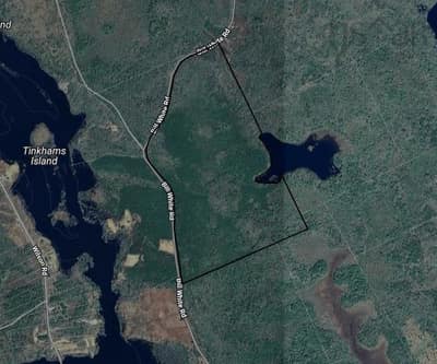 Bill White Road #Lots — photo 3