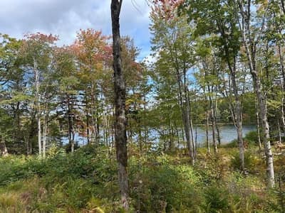 Lakeshore Drive #Lot 4 — photo 2