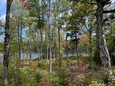 Lakeshore Drive #Lot 4 — photo 4