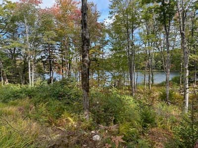 Lakeshore Drive #Lot 3 — photo 3