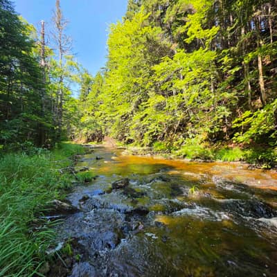 72 North Greville Road — photo 8