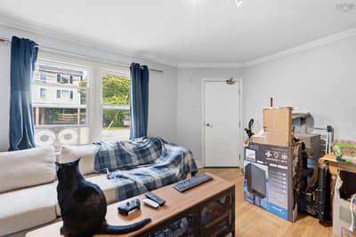 217 Victoria Road — photo 4