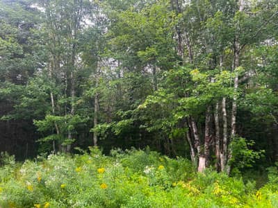Lot 8 No 7 Highway — photo 3