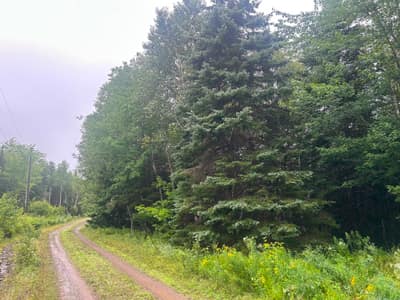 Lot 8 No 7 Highway — photo 4
