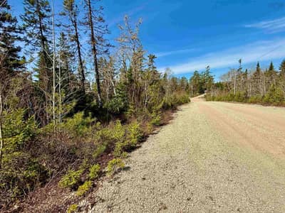 Dynasty Court #Lot 32 — photo 4