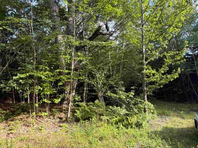 North Uniacke Lake Road #LOT — photo 3