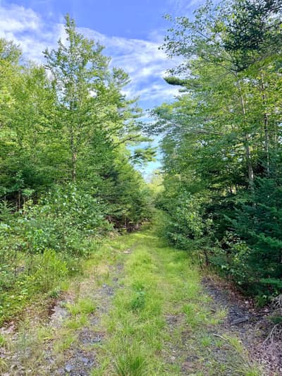 North Uniacke Lake Road #LOT — photo 5