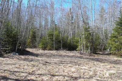 Telegraph Road #Lot — photo 3