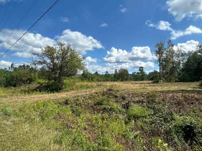 Shore Road #Lot — photo 2
