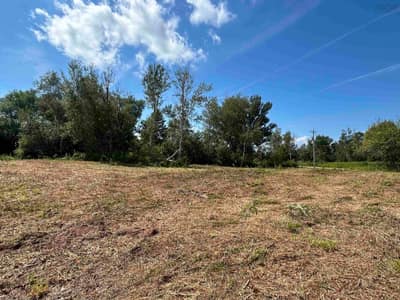 Shore Road #Lot — photo 4