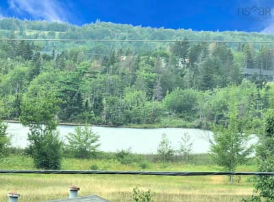 206 Trout Brook Road — photo 5