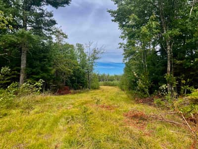 Peck Meadow Road #Lot 9 — photo 5