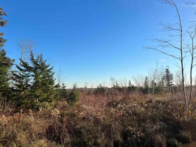 Small Gains Road #Lot — photo 2