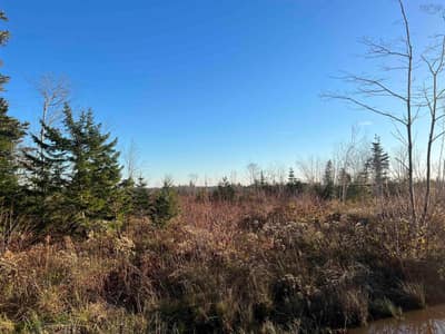 Small Gains Road #Lot — photo 3