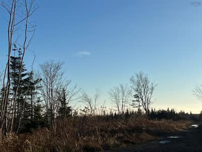 Small Gains Road #Lot — photo 5