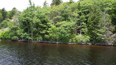 585 Sears Mullen Road — photo 4