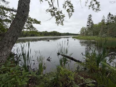 Southside River Denys Rd — photo 2