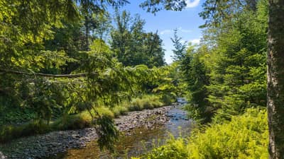 Highway 311 Highway #Lot DA23-2 — photo 3