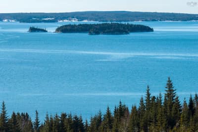 8 Panorama Drive — photo 4