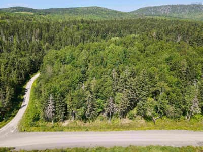 Northeast Mabou Road #Lot 1 — photo 5