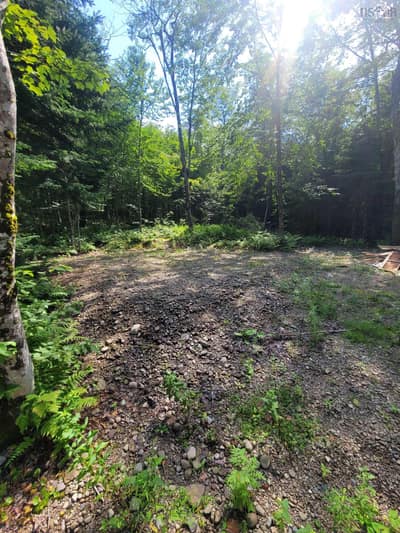 Morrison Road — photo 4