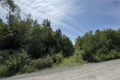 Black River Road #Lot — photo 3