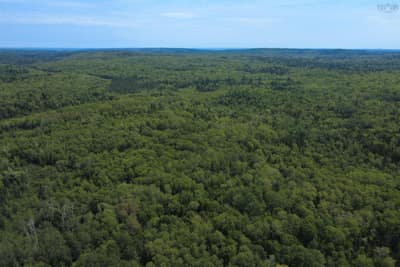 Black River Road #Lot — photo 5