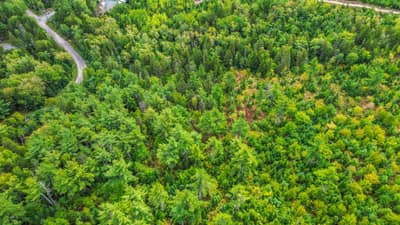Spruce Drive #Lot P-5-3 — photo 4