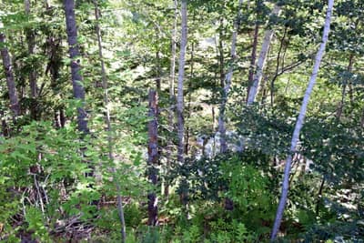 Old Deepdale Road #Lot 11-6AB — photo 4