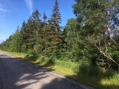 Highway 5 (Kempt Head Rd) #Lot 89-1 — photo 4