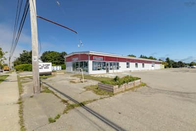 42 Starrs Road — photo 4