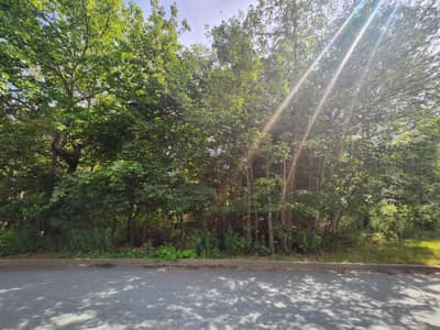 1 Pinehaven Drive — photo 3